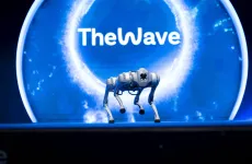 The Wave 2025 864